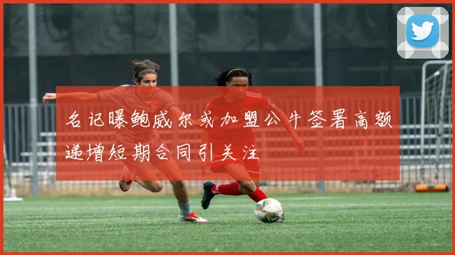 名记曝鲍威尔或加盟公牛签署高额递增短期合同引关注